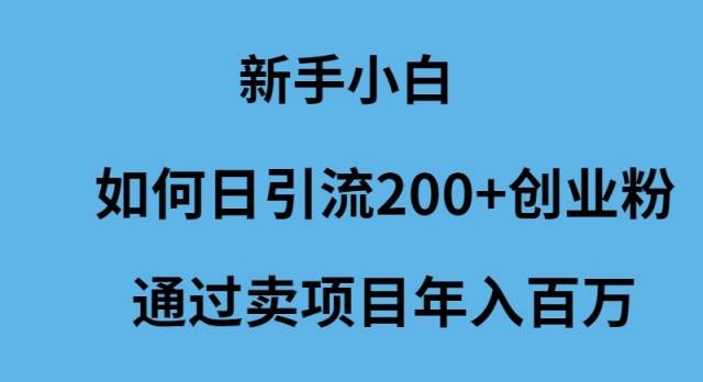 新手小白如何日引流200+创业粉通过卖项目年入百万