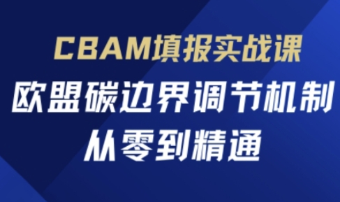 CBAM填报实战课，欧盟碳边界调节机制，从零到精通-丁七哥资源站