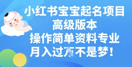小红书宝宝起名项目高级版本,操作简单,资料专业,月入过W-丁七哥资源站