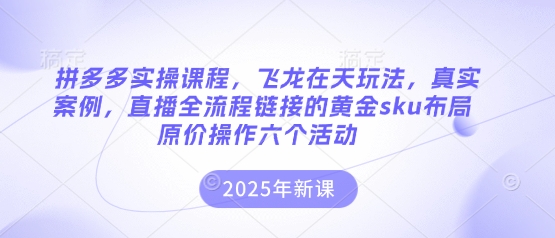 拼多多实操课程,飞龙在天玩法,真实案例,直播全流程链接的黄金sku布局原价操作六个活动-丁七哥资源站