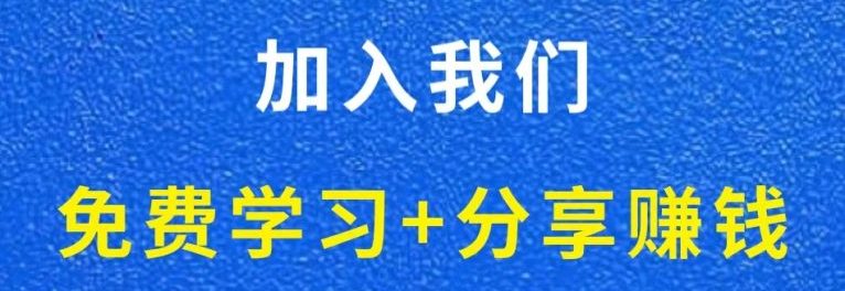 白菜价解锁20000+N个赚钱机会,加入轻创终点站会员,全站资源免费学习。-丁七哥资源站