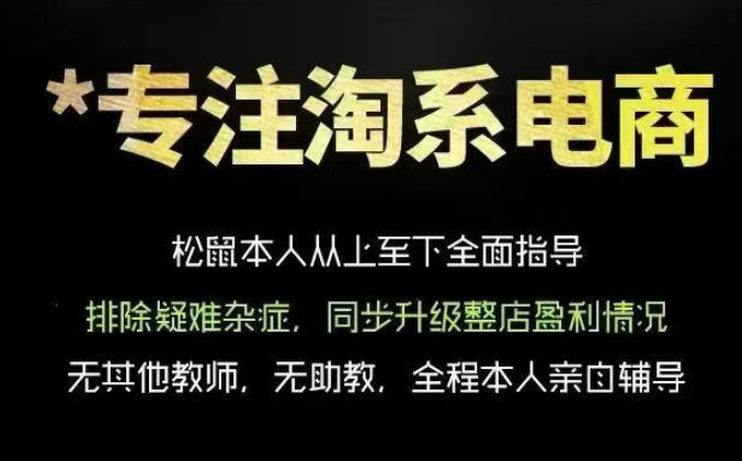 松鼠会电商VIP课程，从基础布局到高阶优化，助你掌握淘宝运营逻辑，提升店铺流量与转化(更新0901)-丁七哥资源站