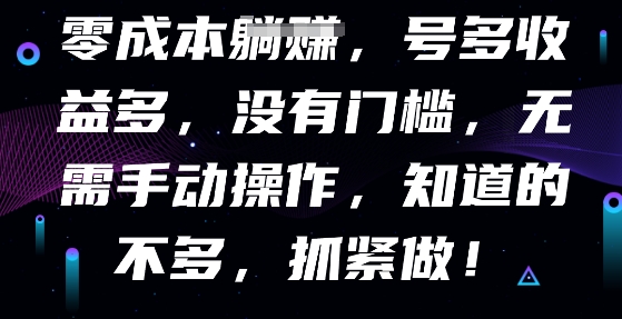 零成本全自动，号多收益多，没有门槛，无需手动-丁七哥资源站