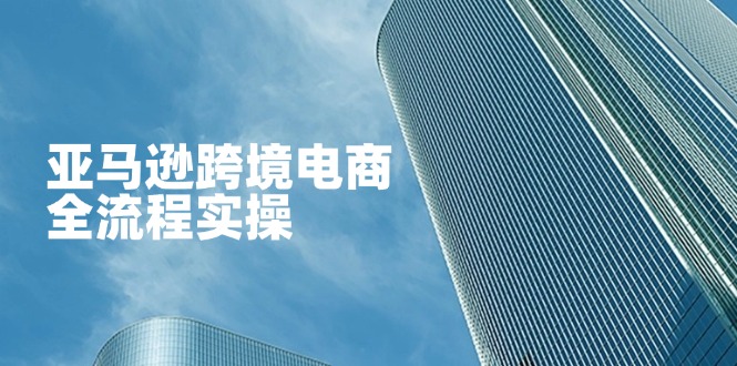 (14252期)亚马逊跨境电商全流程实操,教你从零开始,掌握店铺运营与广告技巧-丁七哥资源站