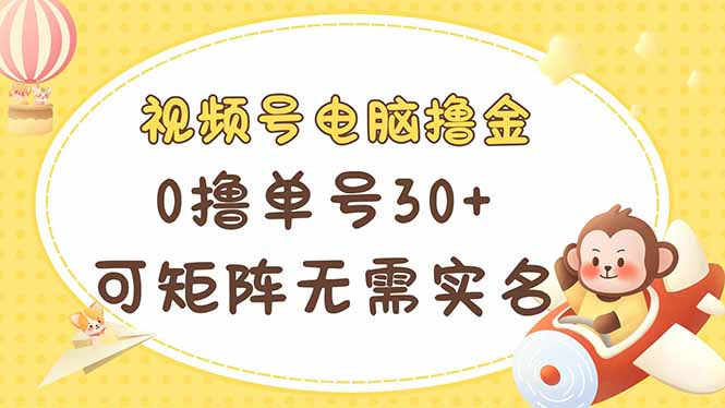 （14220期）视频号电脑撸金 0撸单号30+ 可矩阵 无需实名多号多得-丁七哥资源站
