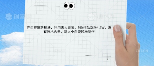 AI养生赛道新玩法，10条作品涨粉5.2W，操作简单，新人小白能轻松制作-丁七哥资源站