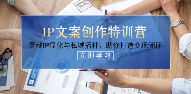 (14330期)IP文案创作特训营,灵魂IP显化与私域播种,助你打造变现闭环(14节课)-丁七哥资源站