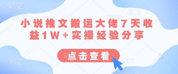 小说推文搬运大佬7天收益1W+实操经验分享-丁七哥资源站