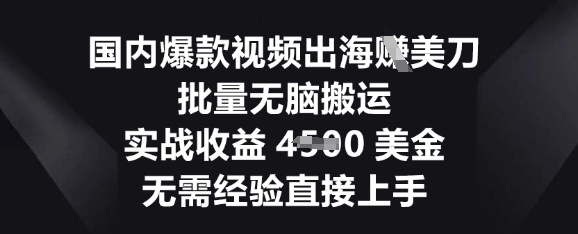 国内爆款视频出海挣美刀,批量无脑搬运,实战收益4.5k,无需经验直接上手-丁七哥资源站