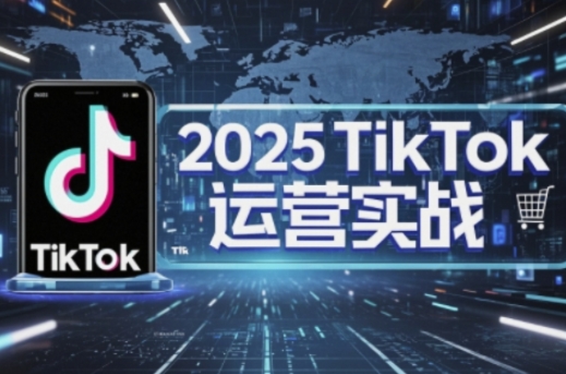 2025TikTok电商运营,掌握TikTok店铺运营核心技巧,实现低成本高转化-丁七哥资源站