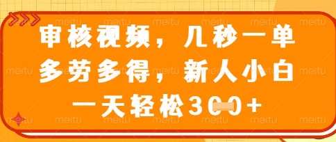 最新审核视频,几秒一单,多劳多得,新人小白一天轻松3张【揭秘】-丁七哥资源站