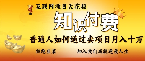 互联网项目天花板,知付付费项目,普通人如何通过卖项目月入十个,拒绝韭菜【揭秘】-丁七哥资源站