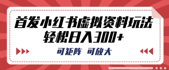 首发小红书虚拟资料玩法,可矩阵,可放大,轻松日入3张-丁七哥资源站