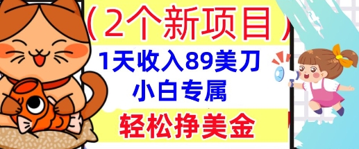 2个新项目，轻松挣美金， 1天收入89美刀，小白专属，干货分享-丁七哥资源站