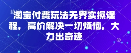 淘宝付费玩法无界实操课程,高价解决一切烦恼,大力出奇迹-丁七哥资源站
