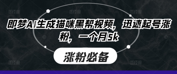即梦AI生成猫咪黑帮视频，迅速起号涨粉，一个月5k-丁七哥资源站
