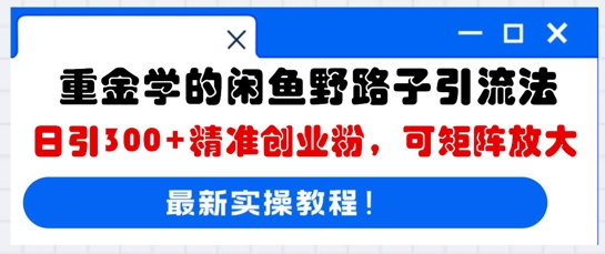 重金学的闲鱼野路子引流法,日引300+精准创业粉,可矩阵放大-丁七哥资源站