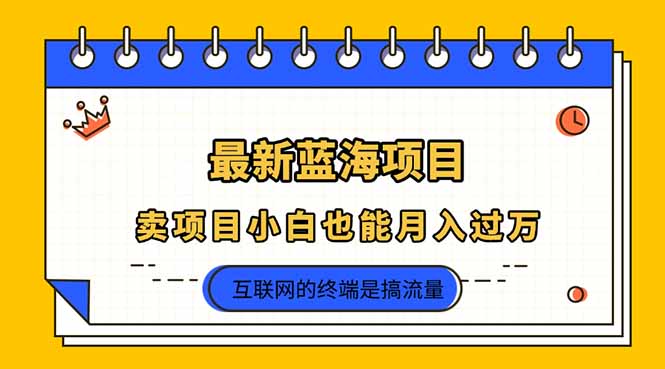 （14289期）2025年最新蓝海项目，卖项目小白也能月入过万-丁七哥资源站
