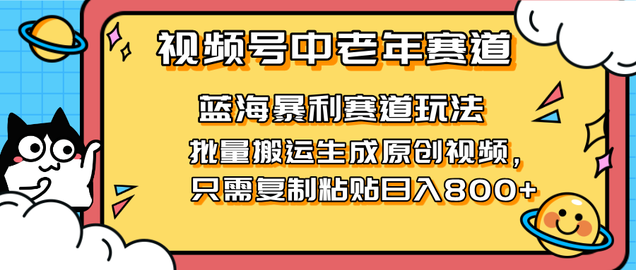 (14314期)2025视频号中老年短视频蓝海暴利风口!复制粘贴搬运视频单日赚800+,无...-丁七哥资源站