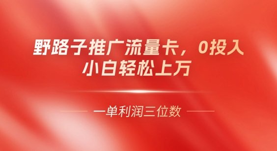 0门槛推广流量卡,一单收益上百,0投入,小白月入过W-丁七哥资源站