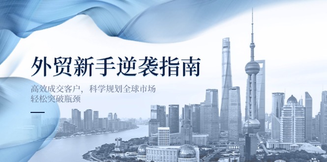 （14201期）外贸新手逆袭指南：高效成交客户，科学规划全球市场，轻松突破瓶颈-丁七哥资源站