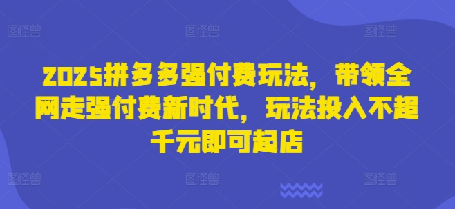 2025拼多多强付费玩法,带领全网走强付费新时代,玩法投入不超千元即可起店-丁七哥资源站