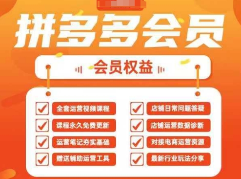 2025拼多多运营实战课,40节全流程教学,覆盖拼多多运营全链路-丁七哥资源站