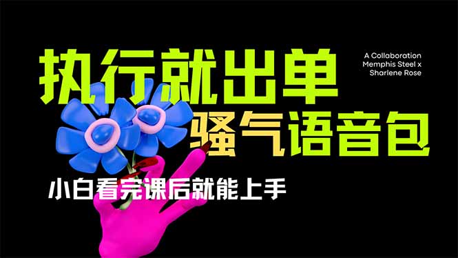 (14170期)爆火全网的开车导航骚气语音包,只要执行就出单,小白看完课程就能实操...-丁七哥资源站