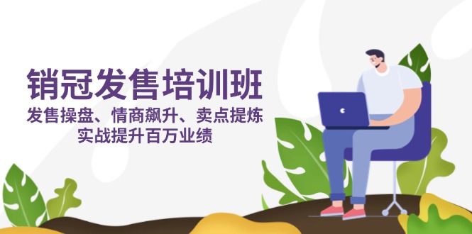 (14203期)销冠 发售培训班:发售 操盘+情商 飙升+卖点 提炼,实战提升百万业绩-丁七哥资源站