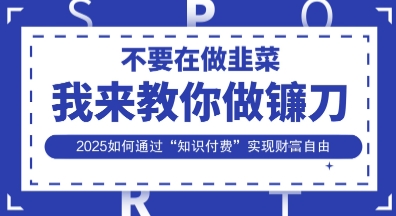 韭菜生涯终结者,我来教你做镰刀,2025如何通过“知识付费”实现财F自由【揭秘】-丁七哥资源站