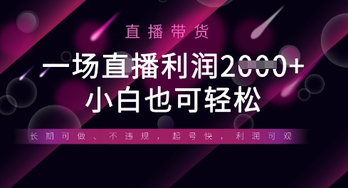 半无人直播带货，一场利润数张，适合所有平台玩法，小白也可轻松-丁七哥资源站