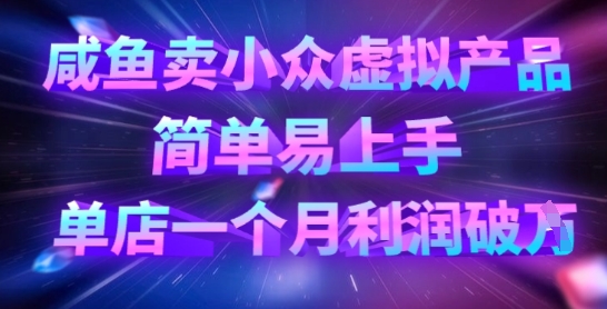 咸鱼卖小众虚拟产品，简单易上手，单店一个月利润破W-丁七哥资源站