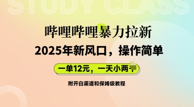 哔哩哔哩暴力拉新：2025年新风口，一单12元，一天数张(附开白渠道和保姆级教程)-丁七哥资源站